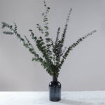 Buchet eucalipt Baby stabilizat - 70 cm