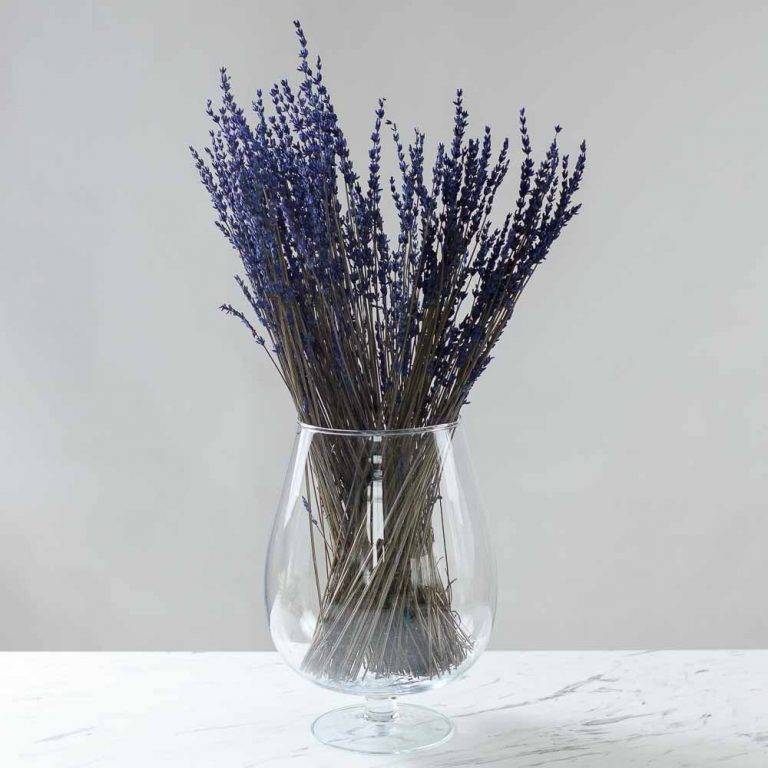 Buchet lavandă stabilizata - 60 cm