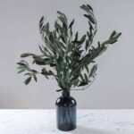 Buchet măslin stabilizat