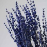 Buchet lavandă stabilizata - 60 cm