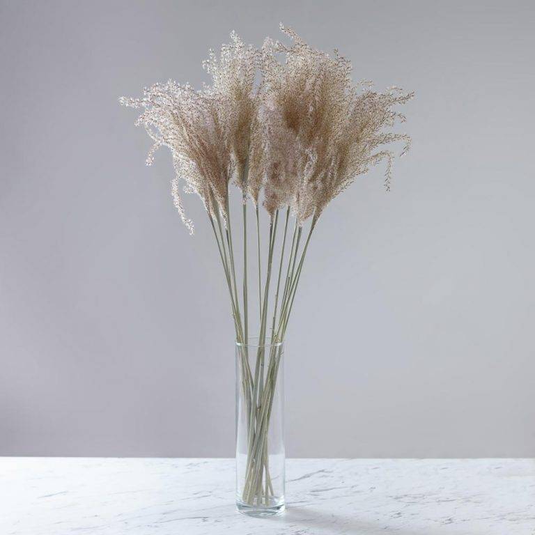 Mini pampas natur – buchet 10 fire
