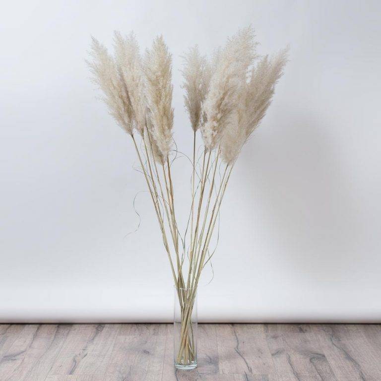 Pampas pufos stuf scurt – 115 cm