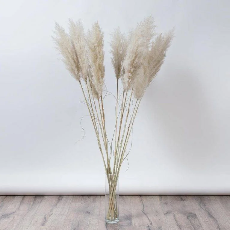 Pampas pufos stuf scurt – 115 cm