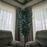 Arbore decorativ de interior - eucalipt Populus Slim stabilizat, H 2,4m