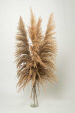 Pampas tip salcie natur – 115 cm