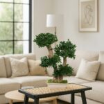 Bonsai Tobira Green stabilizat - 70 cm