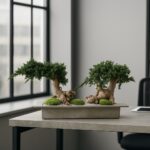Bonsai natural stabilizat Juniperus Dublu - H25cm