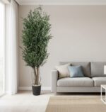 Arbore Eucalipt Parvifolia stabilizat 1,8 m