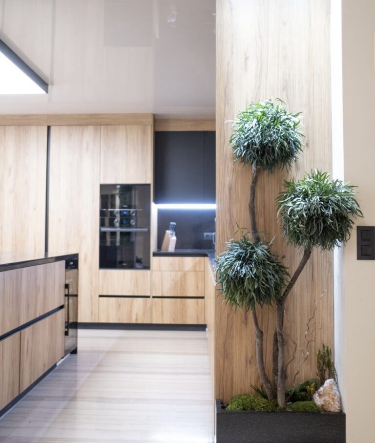 Arbore Nicoly 4 sfere – eucalipt natural stabilizat, 1,8 m