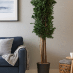 Arbore Pitosporum natural stabilizat 1.7m