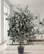 Arbore Populus Premium 1,3 m