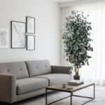 Arbore Populus Premium stabilizat 1,8 m