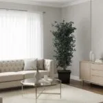 Arbori de interior