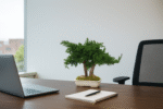 Bonsai natural stabilizat – Juniperus Mini, 25 cm