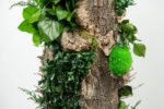 Arbore decorativ pentru interior, Forest Premium - H 1,6m