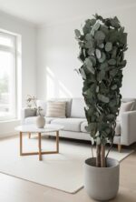Arbore Slim Eucalipt Populus 1,3 m
