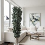 Arbore Slim Eucalipt Populus 1,8 m