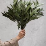 Buchet eucalipt Salcie stabilizat - 60 cm