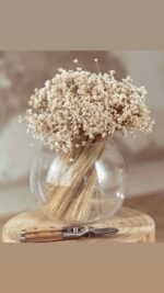 Buchet Glixia natural uscată – 45 cm