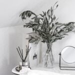 Buchet măslin stabilizat