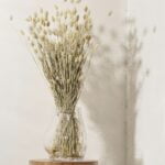 Buchet Talaris natural uscat