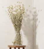 Buchet Talaris natural uscat