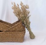 Buchet Lagurus Natur – 55 cm