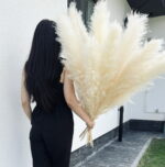 Pampas alb stabilizat Fluffy –115 cm - imagine 2