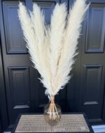 Pampas alb stabilizat Fluffy –115 cm - imagine 3
