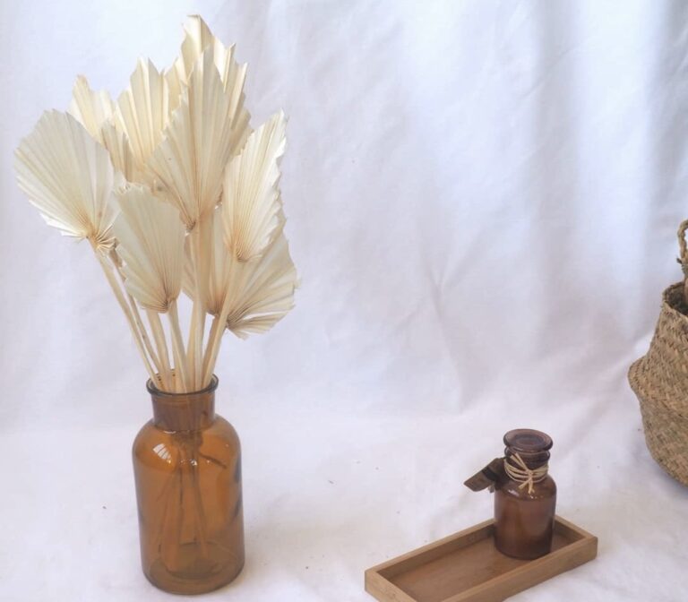 Frunze uscate de palmier alb – set 10 fire