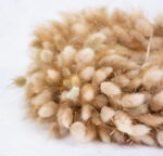 Coroniță realizată manual lagurus natural – 30 cm - imagine 2