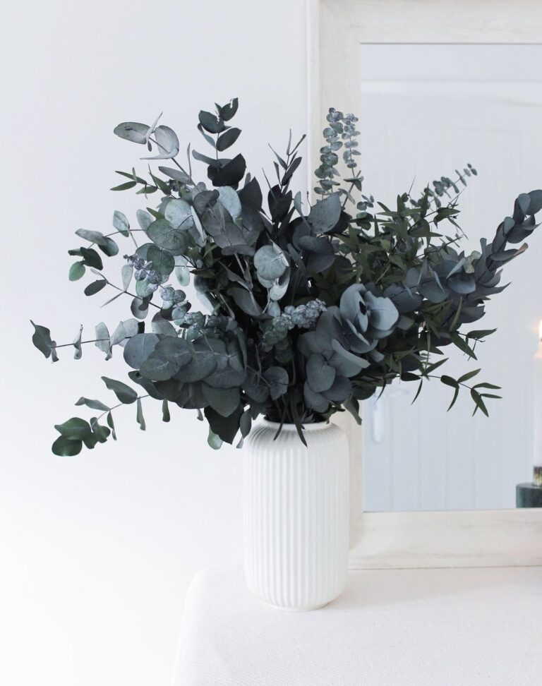 Buchet eucalipt stabilizat – mix 4 tipuri