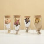 Tub de sticlă cu flori uscate