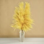 Pampas tip salcie galben