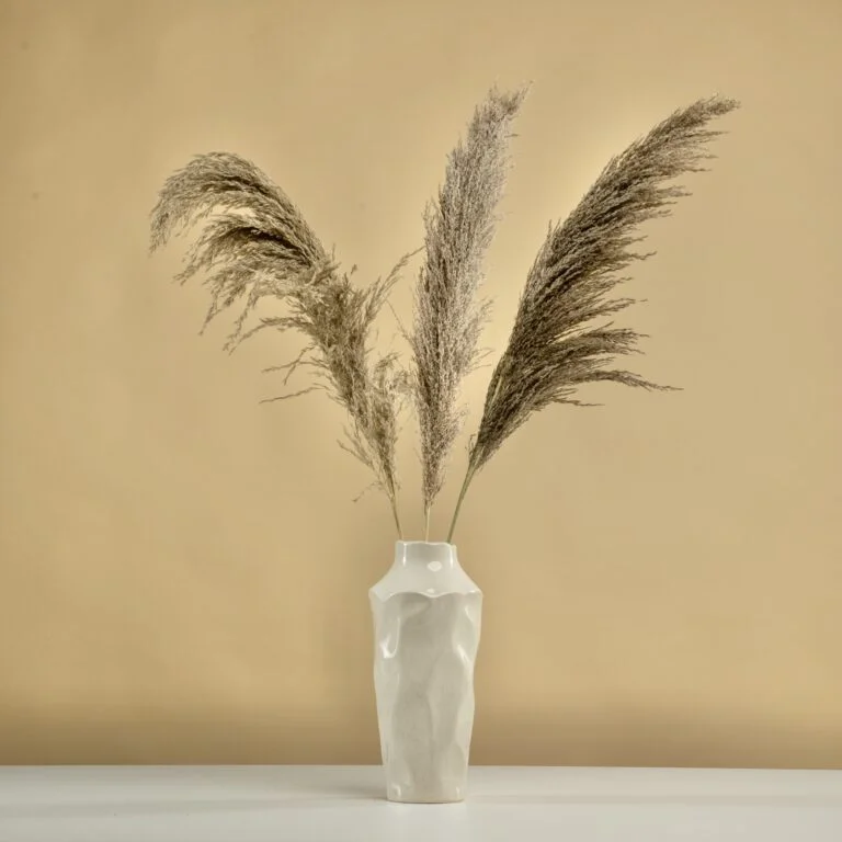 Pampas natural – 3 fire, 115 cm