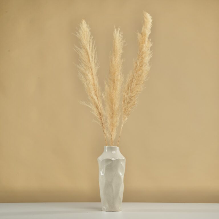 Pampas natural crem – 3 fire, 100-115 cm