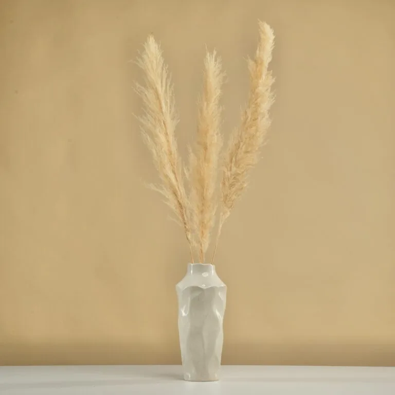 Pampas natural crem – 3 fire, 100-115 cm