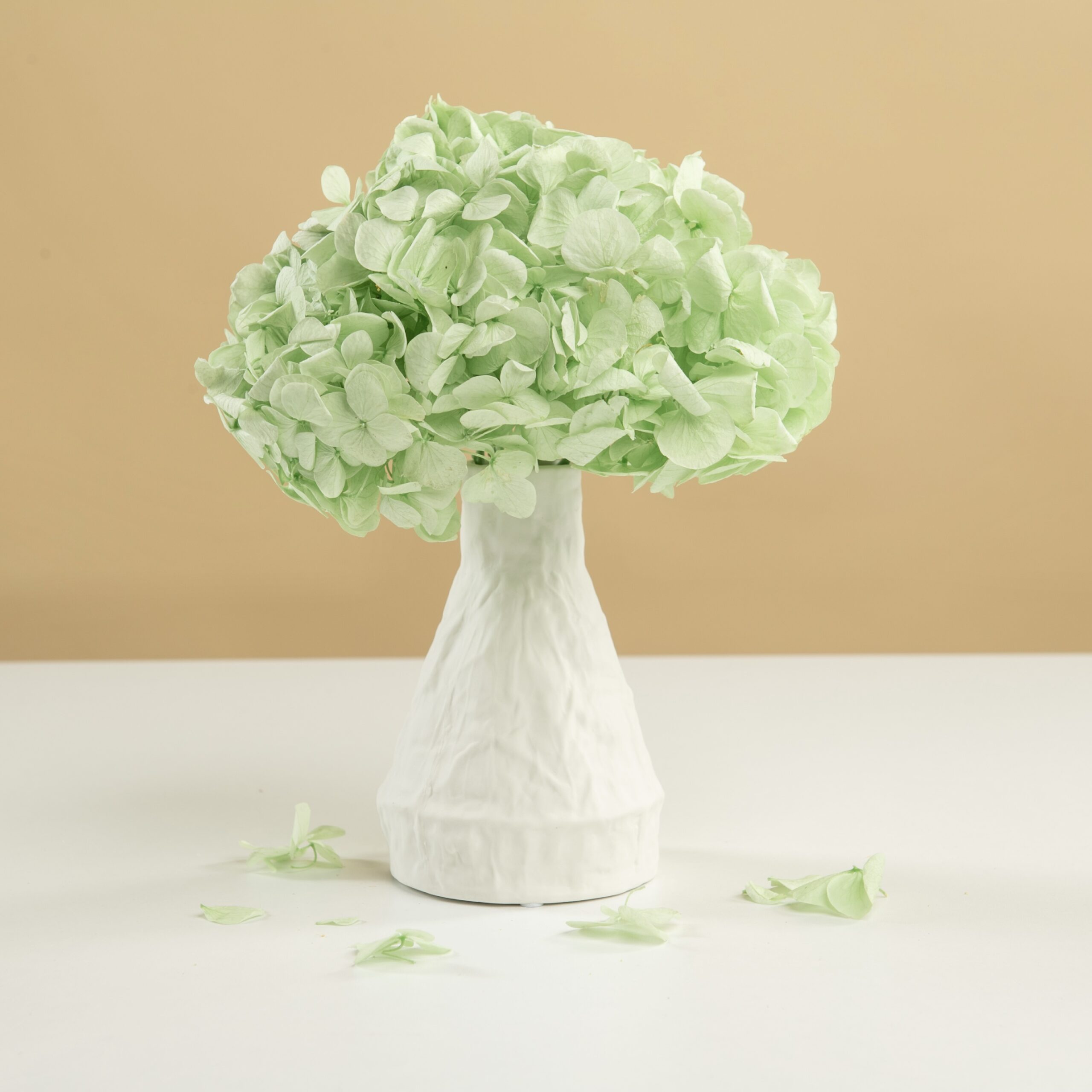 Vază decorativă din ceramică albă Vază decorativă din ceramică albă