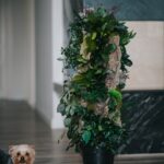Arbore ornamental de interior Forest Premium 1 m – Arbore natural stabilizat