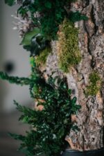 Arbore ornamental de interior Forest Premium 1 m – Arbore natural stabilizat - imagine 3