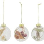 Glob decorativ din sticlă cu plante stabilizate