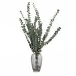 Buchet eucalipt Baby stabilizat - 70 cm