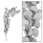 Eucalipt argintiu natural stabilizat