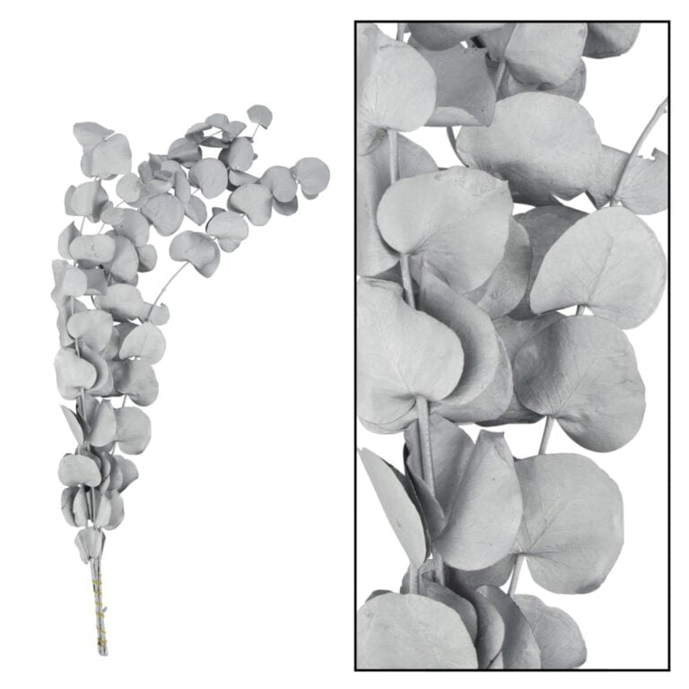 Eucalipt argintiu natural stabilizat