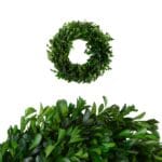 Coroniță naturală verde stabilizată 30 cm