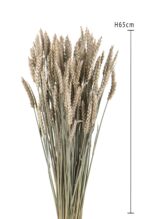 Spice de grâu uscate 65 cm - imagine 3