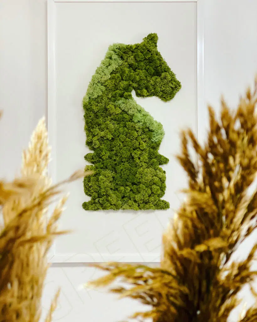 Greenest Craft – Plante stabilizate și aranjamente decorative premium