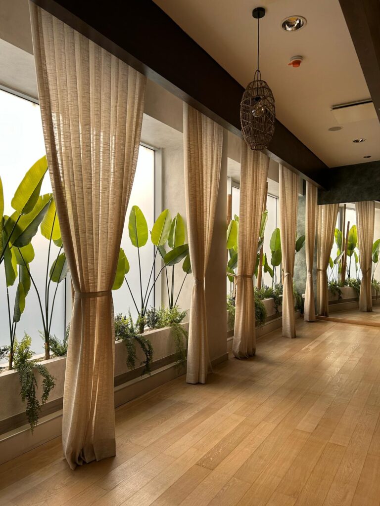 Greenest Craft 🌱 Plante stabilizate, decorațiuni, arbori conservați