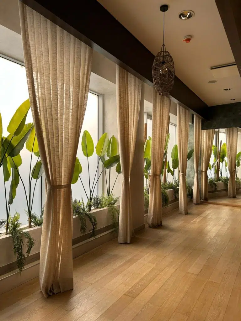 Greenest Craft 🌱 Plante stabilizate, decorațiuni, arbori conservați
