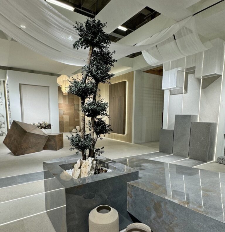 Arbore Eucalipt Parvifolia 7 sfere